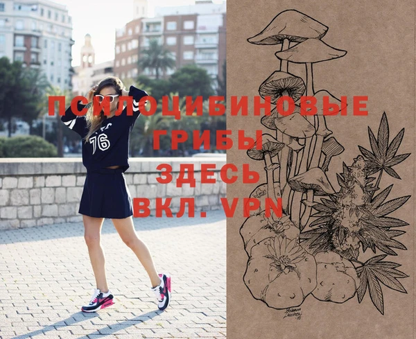 круглые Вязьма