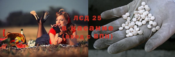 круглые Вяземский