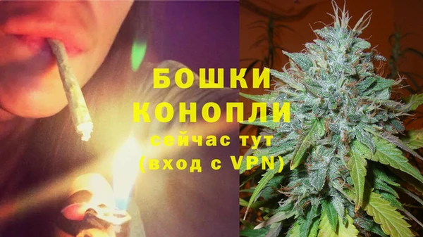 круглые Вяземский