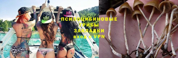 круглые Вяземский