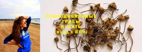 сатива Вязники