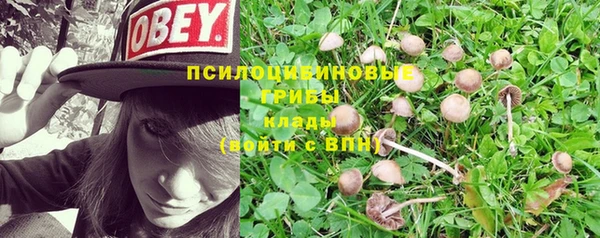 круглые Вязьма