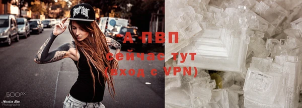 круглые Вязьма