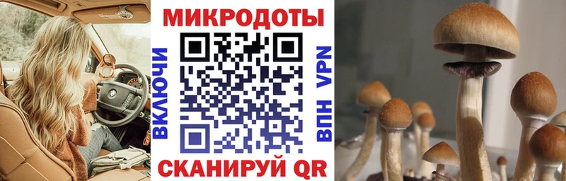 мега рабочий сайт  Волгодонск  Псилоцибиновые грибы Psilocybe 